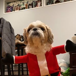 Meet your Posher, Abraham